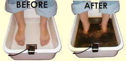 IonCleanse Foot Bath